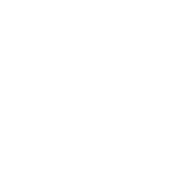 ce logo Toledo